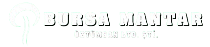 Bursa Mantar